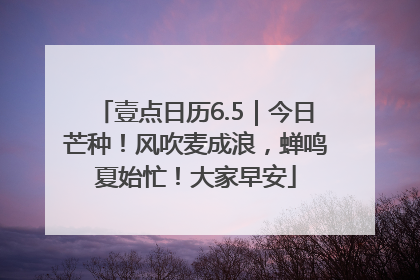 壹点日历6.5｜今日芒种！风吹麦成浪，蝉鸣夏始忙！大家早安